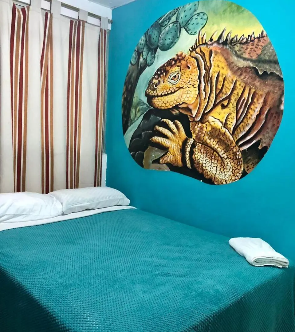 게스트하우스 Hostal Puerto Ayora